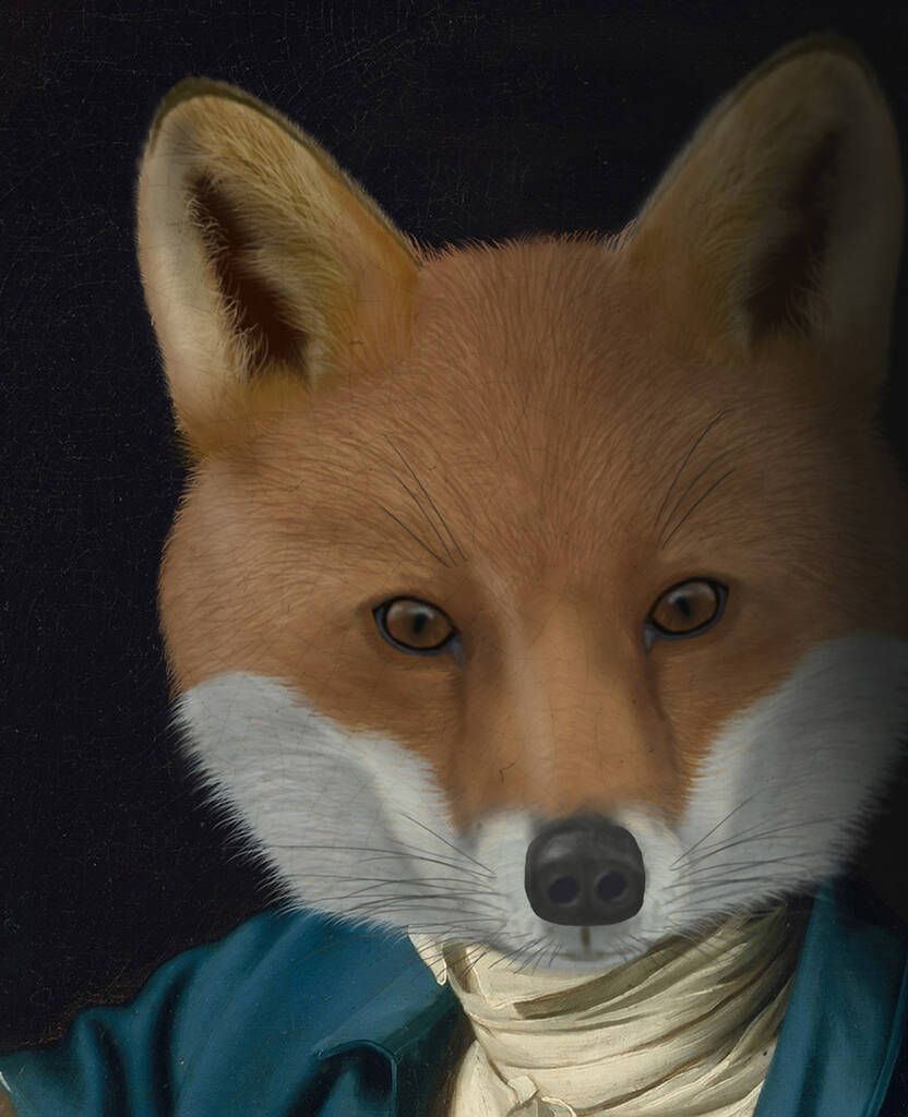 The Masked Fox, Limited Edition Fine Art Print